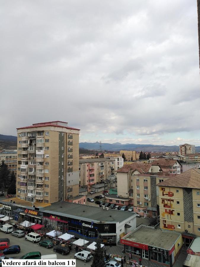 Apartament Salina Bulevard 알바루리아 외부 사진